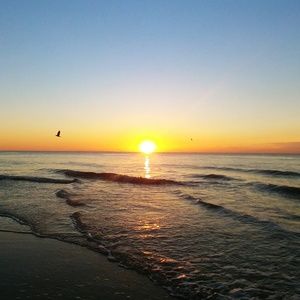 Meet your Posher, Nathan